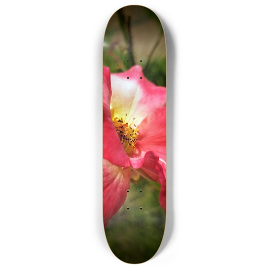 Rose1